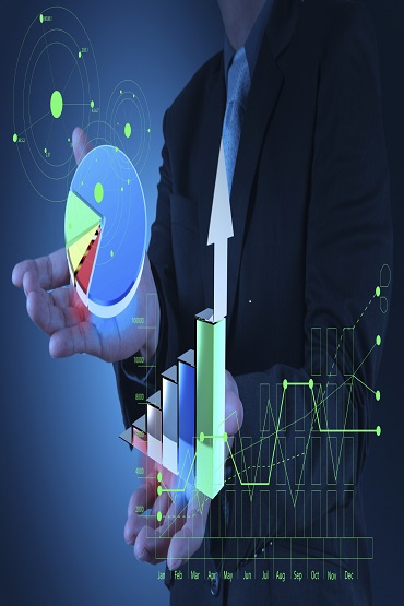 Business Analyst